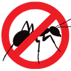 Ant Control Ringwood