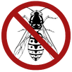 Wasp Control Ringwood